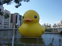 P1050458.JPG