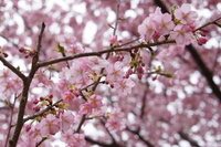 DSC08562.JPG
